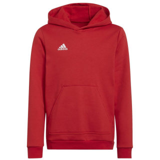Adidas Entrada 22 Sweat Hoodie Kinder