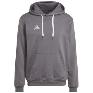 Adidas Entrada 22 Sweat Hoodie Herren