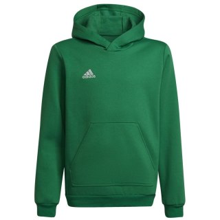 Adidas Entrada 22 Sweat Hoodie Kinder