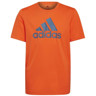 Adidas Designed To Move Big Logo T-Shirt Jungen