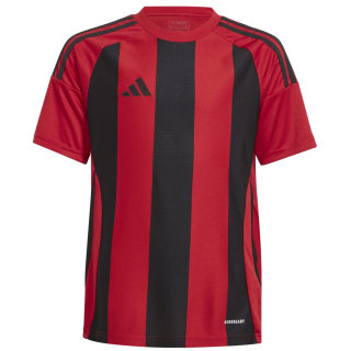 Adidas Striped 24 Kinder Trikot