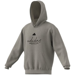 Adidas Brand Love French Terry Hoodie Herren Kapuzensweater