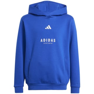 Adidas ALL SZN Graphic Kinder Kapuzensweater