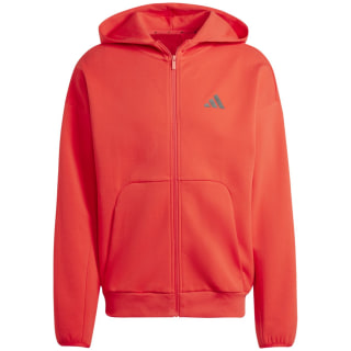 Adidas Future Icons Small Logo Herren Kapuzensweater