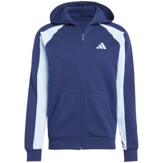 Adidas Seasonal Essentials Colorblock Herren Kapuzensweater