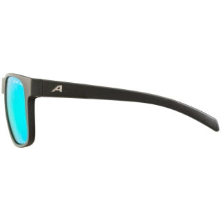 Alpina Nacan III Sonnenbrille Unisex