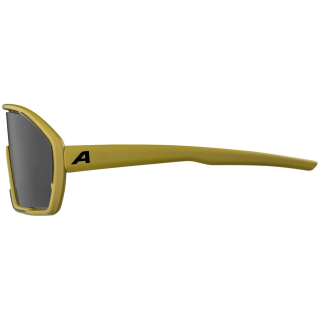 Alpina Bonfire Sonnenbrille Unisex