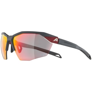 Alpina Twist Six HR QV Sonnenbrille Unisex