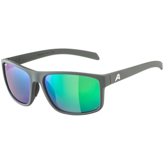 Alpina Nacan I Q (Pol) Sonnenbrille Unisex