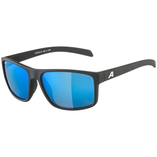 Alpina Nacan I Q (Pol) Sonnenbrille Unisex