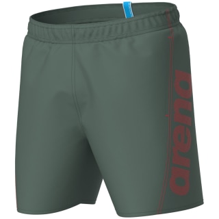 Arena Fundamentals Logo R Herren Badehose
