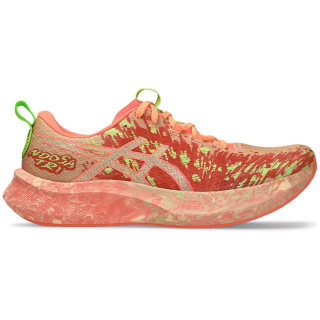 Asics Noosa TRI 16 Herren Laufschuhe