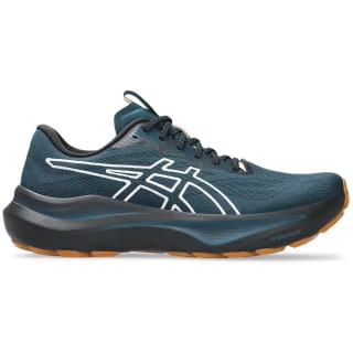 Asics GT-2000 14 TR Herren Laufschuhe