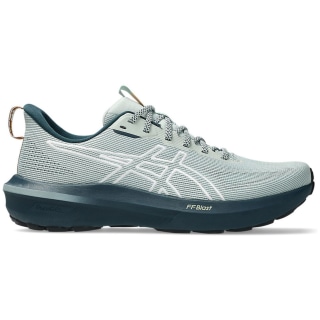 Asics GT-1000 14 TR Herren Laufschuhe