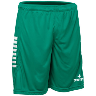 Derbystar Primo v24 Teamhose