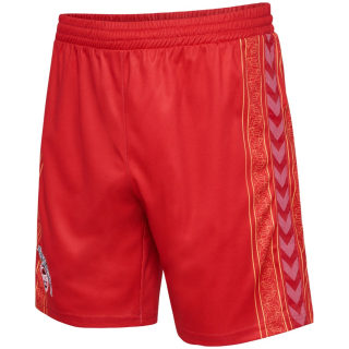 Hummel 1. FC Köln 23/24 Karneval Shorts