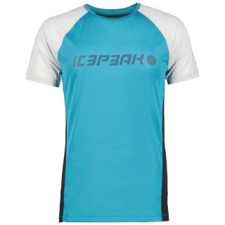 Icepeak Destin Herren T-Shirt