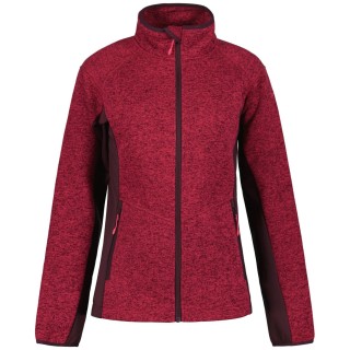 Icepeak Bleeker