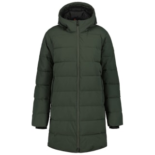 Icepeak Mosses