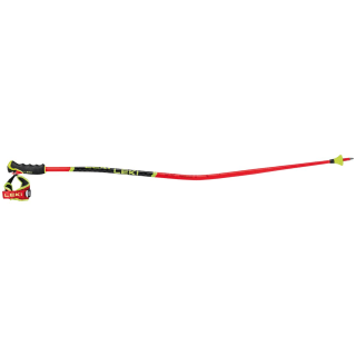 Leki WCR TBS GS 3D Alpin-Skistock