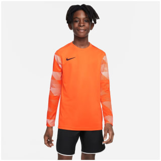 Nike Dri-Fit Park 4 Goalkeeper Kinder Trikot
