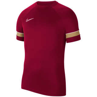 Nike Dri-FIT Academy Herren Trikot