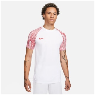 Nike Dri-FIT Academy Herren Trikot