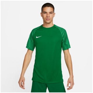 Nike Dri-FIT Academy Herren Trikot