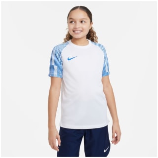 Nike Dri-FIT Academy Kinder Trikot
