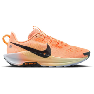 Nike Pegasus Trail 5 Trail Damen Laufschuhe Nike Pegasus Trail 5 Trail Damen Laufschuhe