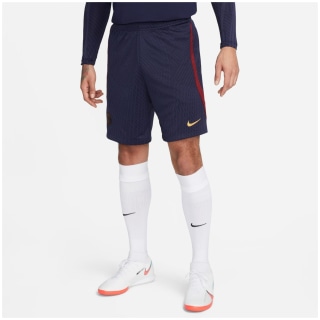 Nike Paris Saint-Germain Strike Dri-FIT Herren Fußballhose