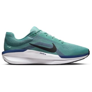 Nike Winflo 11 Road Herren Laufschuhe