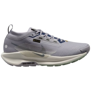 Nike Pegasus Trail 5 Gore-Tex Trail Herren Laufschuhe