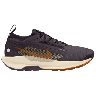 Nike Pegasus Trail 5 Gore-Tex Trail Herren Laufschuhe