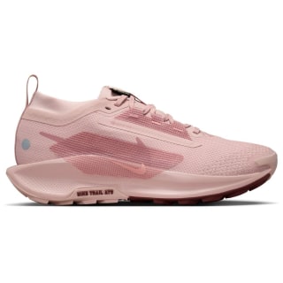 Nike Pegasus Trail 5 Gore-Tex Trail Damen Trailrunningschuhe