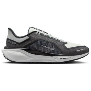 Nike Pegasus 41 GTX Waterproof Road Herren Laufschuhe