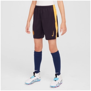 Nike Inter Milan Y NK DF Stad 3R Kinder Shorts