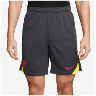 Nike Liverpool FC NK DF Strk Kz3R Herren Teamhose