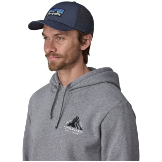 Patagonia P-6 Logo LoPro 