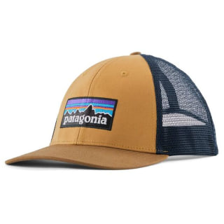 Patagonia P-6 Logo LoPro 