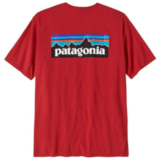 Patagonia P-6 Logo Responsibili Herren 