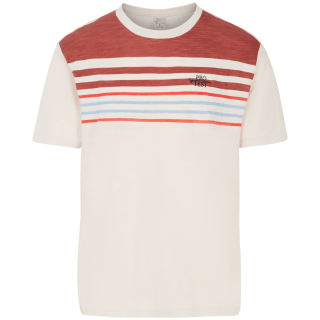 Protest PRTHowlen Herren T-Shirt