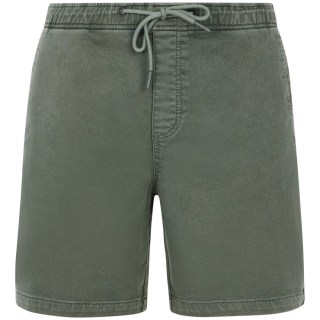 Protest PRTHoover Herren Shorts