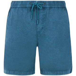 Protest PRTNivel Herren Shorts