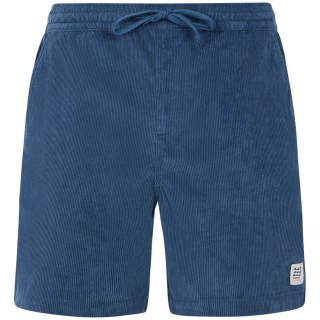 Protest PRTUleyo Herren Shorts