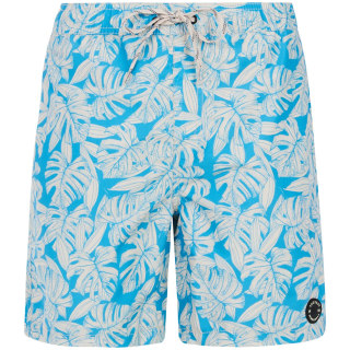 Protest PRTPedro Herren Badehose