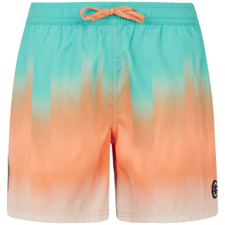 Protest PRTBowery Herren Badehose