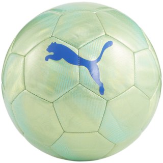 Puma Final Graphic