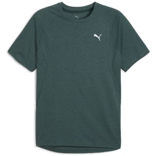 Puma RUN Velocity (Tri-Blend) Herren T-Shirt