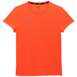 Puma Finisher